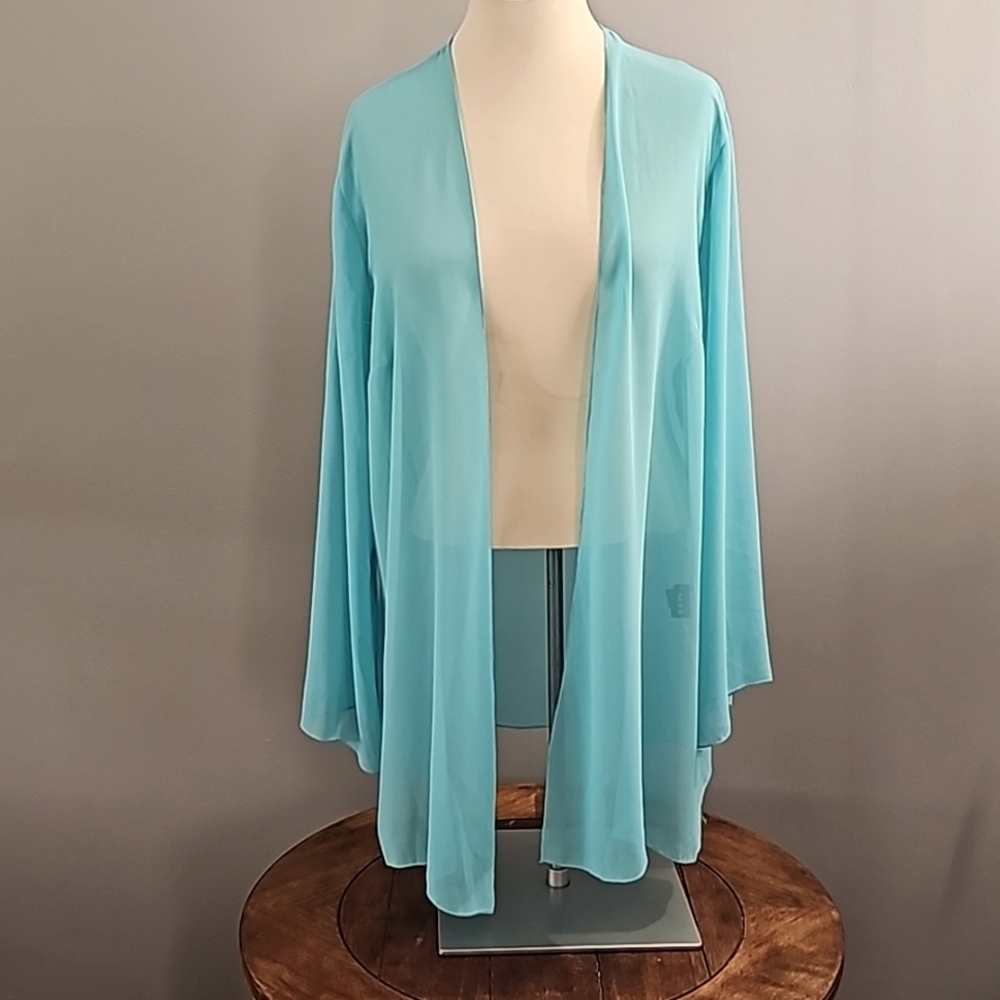 Raoul Teal Sheer Cardigan | Size  XL